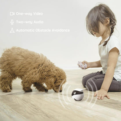 SE Familybot Home Camera Robot: 1080P Movable Pet Camera Indoor, Battery-Operated, Auto-Recharge, Night Vision, 2-Way Talk, Local Storage, APP Control